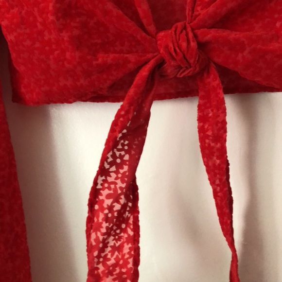 NWT Wild Fable Target Red Suede Floral Translucent Tie Crop Top Long Sleeves - S - Picture 8 of 12